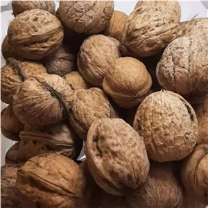 گردو پوست کاغذی سفید پرچرب تویسرکان 800 گرم