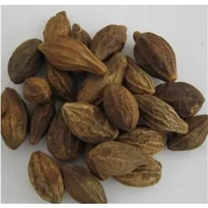 هلیله زرد (100 گرمی) 