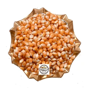 دانه ذرت ارگانیک آفریقای جنوبی 100 گرمی خالص