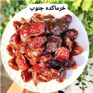 خرما کبکاب 1405درجه یک مستقیم از باغدار