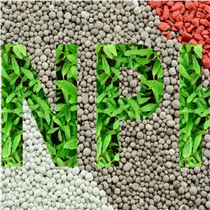 کود گلدهی 121236 باواریا آلمانی