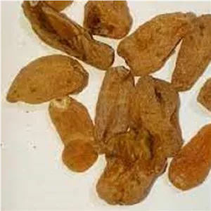 گیاه ثعلب قلوه 10 گرم 