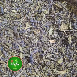 اسطوخودوس ایرانی رفع کننده اضطراب و بهبود کیفیت خوابیدن (100گرمی) عطاری چهل گیاه 
