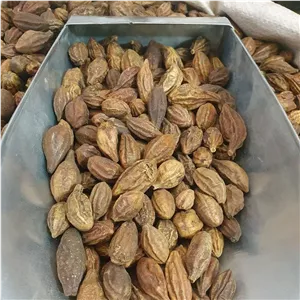 هلیله زرد 200 گرم تقویت مغز.صاف کننده خون .سرگیجه 