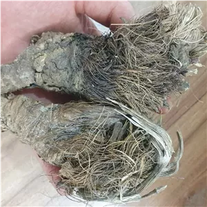 سنبل الطیب ختایی 50 گرم