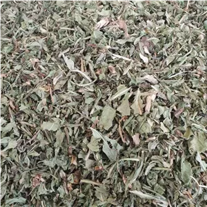 برگ کاسنی - 1 کیلو