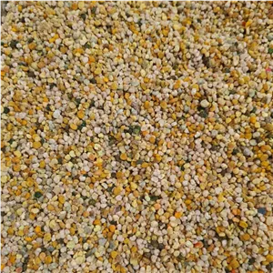 گرده گل ایرانی (گرد گل) - 1 کیلو