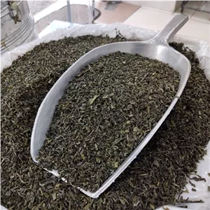 چای سبز بهاره لاهیجان کاملا ارگانیک و طبیعی محصول 1404 بسته بندی یک کیلو گرمی 