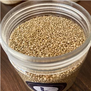 دانه کینوا بسته 200 گرمی