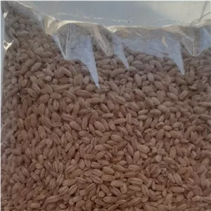 جو پوست کنده 1 کیلویی