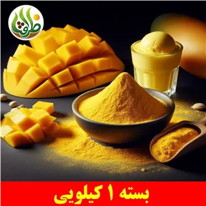 پودر انبه ( ادویه فلافل ، پودر سس فلافل ) ظرافت 1 کیلویی