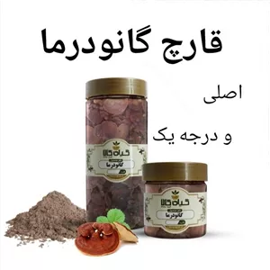 قارچ گانودرما اصلی، 250گرمی 