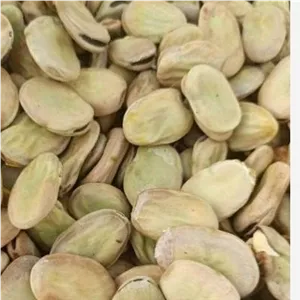 باقاله،باقالی،باقالا امساله وخوش پخت