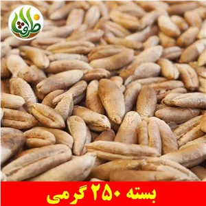 هسته خرما ممتاز ظرافت 250 گرمی