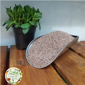اسفرزه یا اسپرزه (یک سیر) درجه یک 