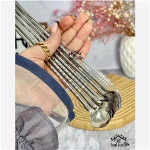 نی شربت قاشق دار نقره ای(کرایه در مقصد)(سعی میکنیم با کمترین هزینه بسته براتون ارسال بشه)