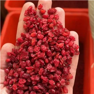 زرشک زیر تالاری ارگانیک 1 کیلویی قائنات قیمت مناسب