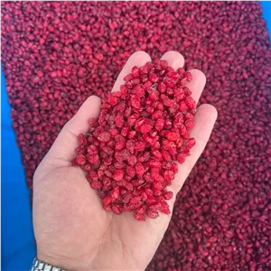 زرشک پفکی ارگانیک صادراتی 1 کیلویی قائنات سیبونی
