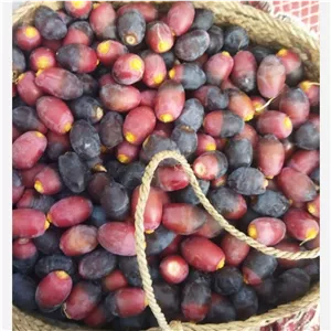 رطب خنیزی تازه