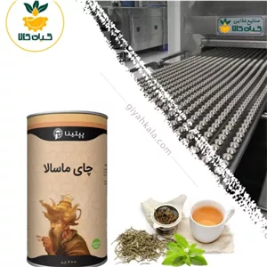 چای ماسالا ارگانیک پپتینا 200 گرمی