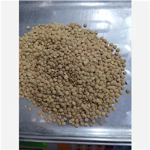 عدس درشت کانادا درجه یک با کیفیت بی نظیر