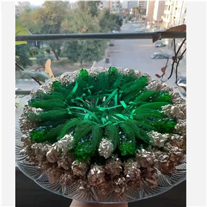 نبات دو رنگ