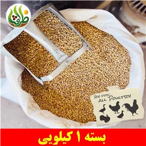 گندم مرغی ( گندم با پوست ) ظرافت 1 کیلویی
