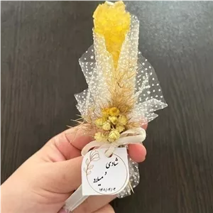 گیفت نبات شاخه نبات 