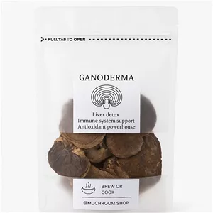قارچ گانودرما پودر بسته 100 گرمی