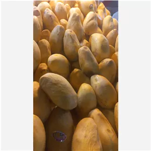 میوه انبه 
