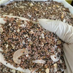 چهارتخمه بسته  350 گرمی کیفیت فوق العاده عالی چهار تخمه