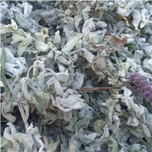 پونه کوهی ساوالان