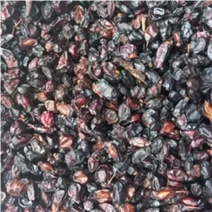 زرشک کوهی یا زرشک هسته دار  درجه 11کیلوگرم