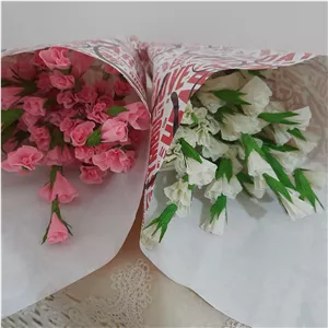  گل شکوفه عروس