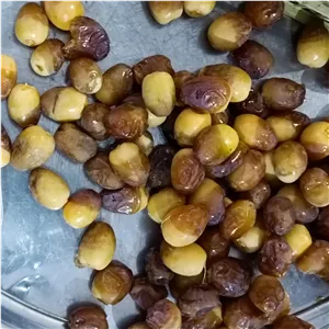 رُطب برحی دو رنگ (نیمی خارک و نیمی رطب) دوکیلو 1 000 000 ت (خرما عسلی