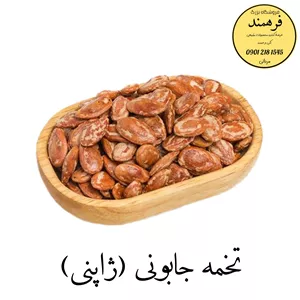 تخمه ژاپنی 200گرمی فرهمند(ضمانت کیفیت-مرجوعی) تخفیف ویژه شب یلدا 