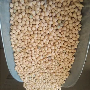 نخود ریز محلی ارگانیک