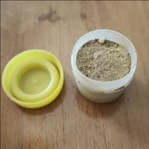 پودر دندان  جایگزین خمیر دندان 