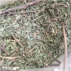 برگ کاسنی 100  گرم 