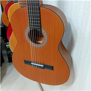گیتار پارسی 