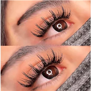 مژه کایلی درجه 1 ( عمده )