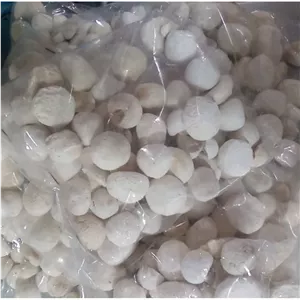 کشک گاوی درجه یک 500 گرم