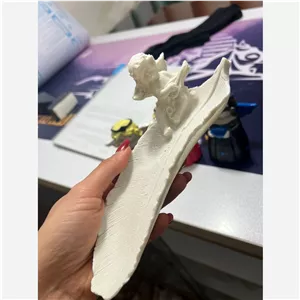 جاعودی و مجسمه برگ و فرشته پلی استر خام(پس کرایه)