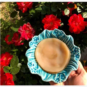 قارچ کامبوجا (اسکوبی به همراه استارتر)