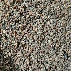 کشمش آبگیری درجه یک 500 گرمی 