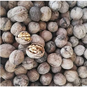 گردوی قهوه ای مراغه 500 گرمی 