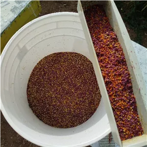 گرده گل زنبور کیلویی خالص الک شده ارسال رایگان درجه کیفی گرید+++A تقویت جنسی،تقویت قوای بدن،درمان ضعف شدیدوکم خونی.