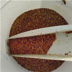 گرده گل زنبور کیلویی خالص الک شده ارسال رایگان درجه کیفی  گرید+++A تقویت جنسی،تقویت قوای بدن،درمان ضعف شدیدوکم خونی 