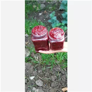 رب آلوچه شمال درجه یک 400 گرمی