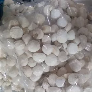 کشک گوسفندی ارسال رایگان 250 گرم